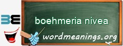 WordMeaning blackboard for boehmeria nivea